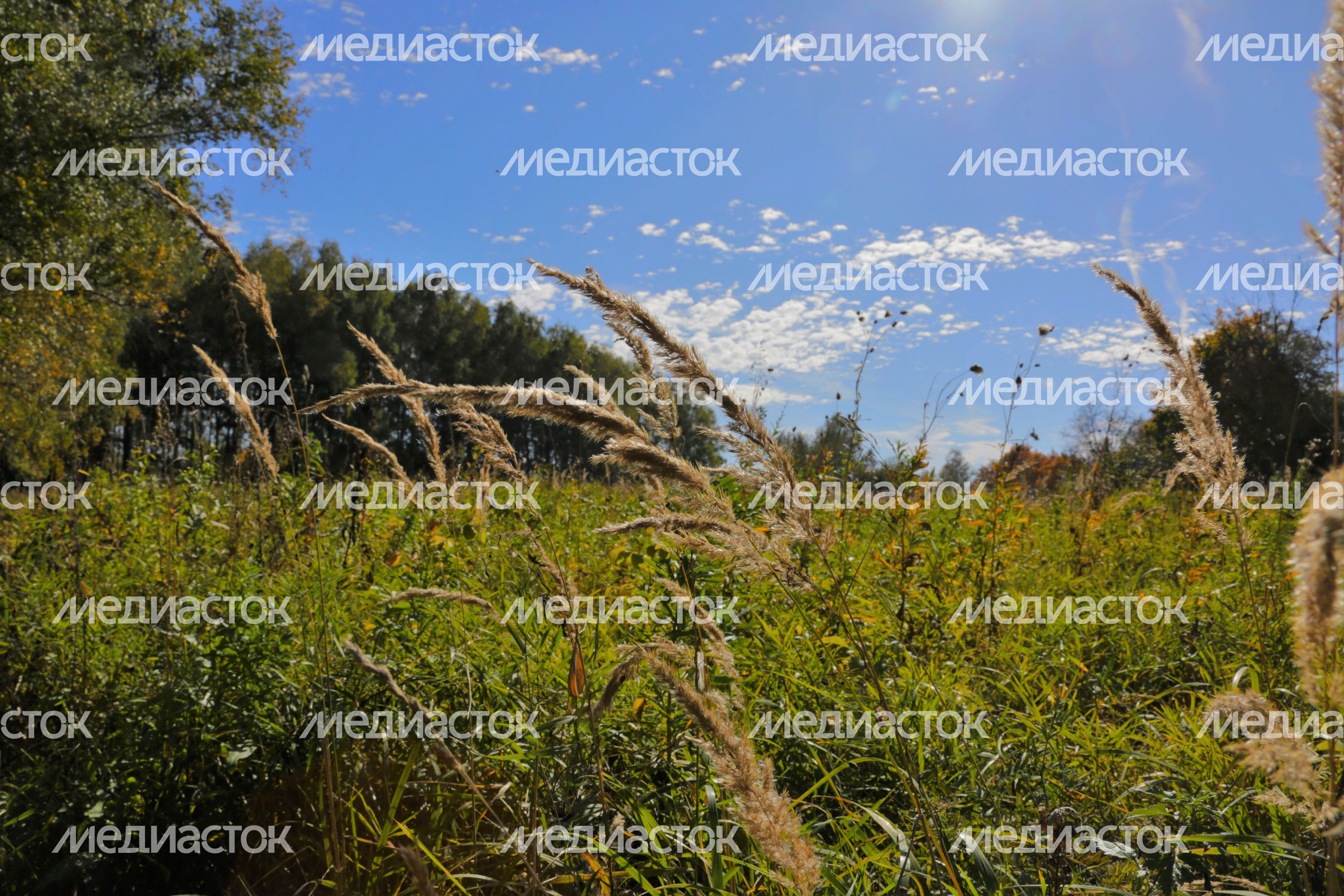 Осень в Кашире