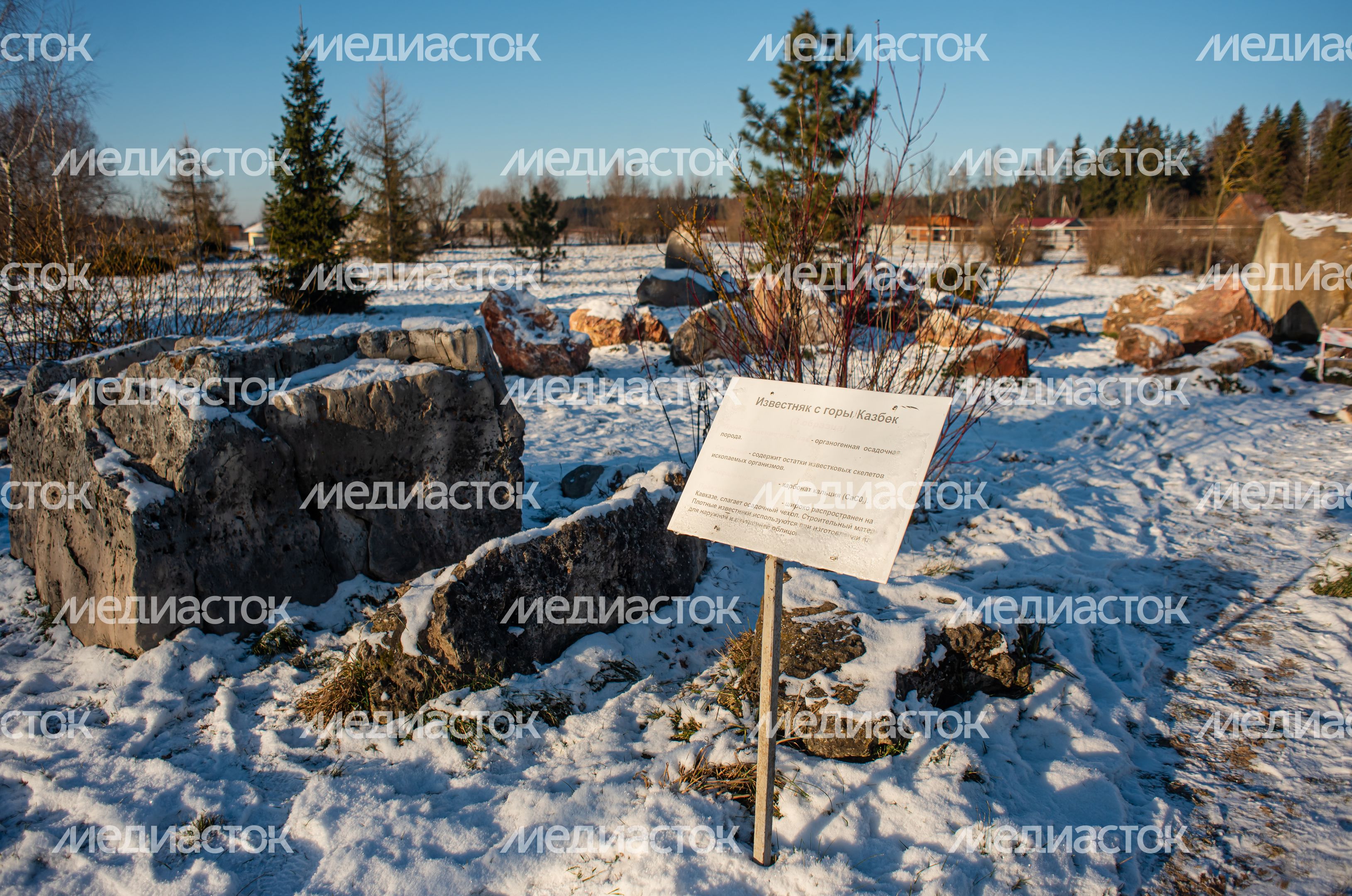 Зимний Парк Птиц «Воробьи»