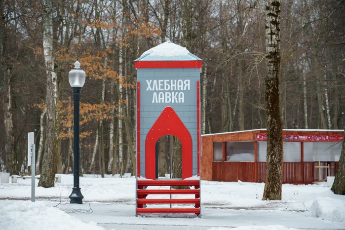 Кашира. Городской парк. Зима
