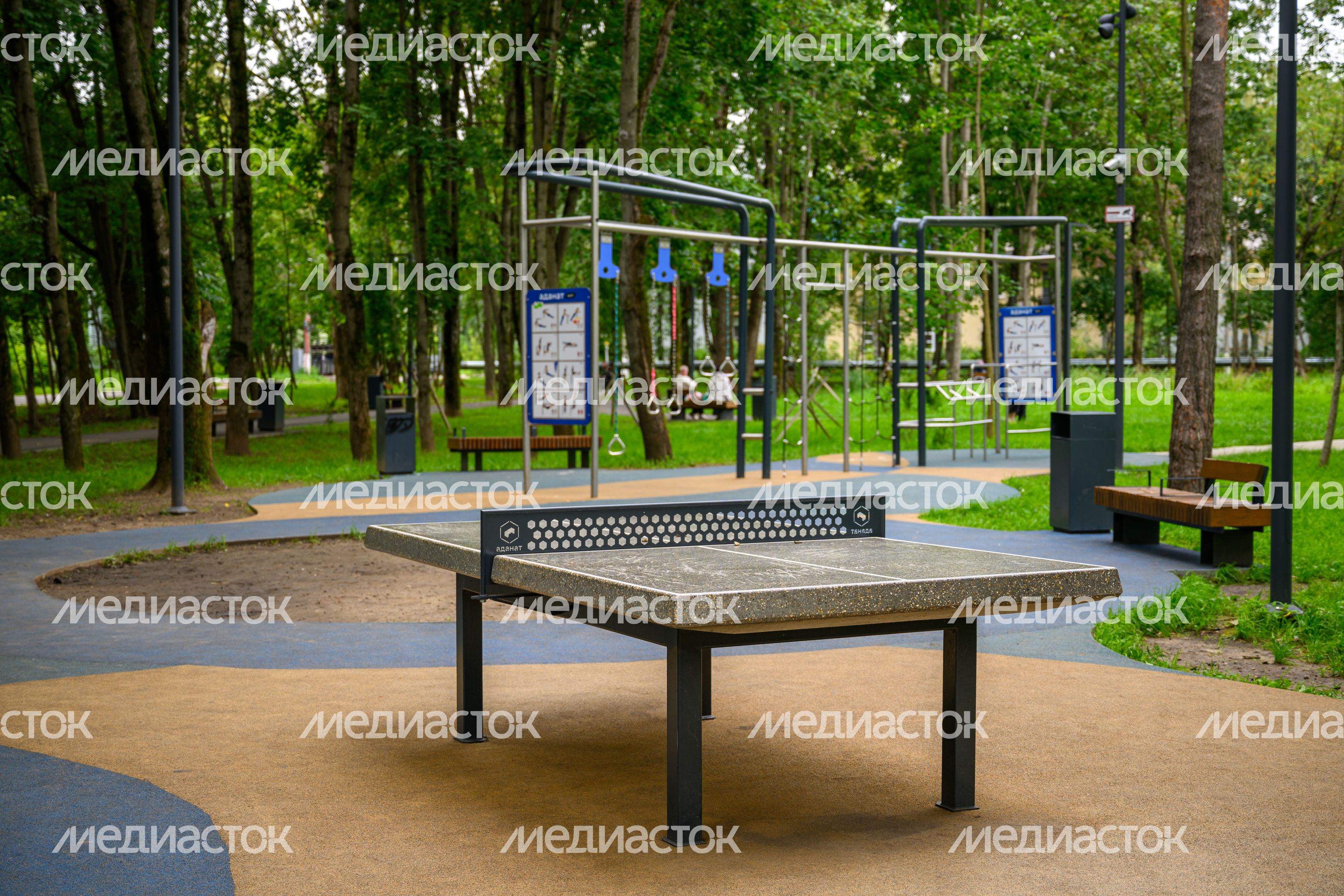 Стол для настольного тенниса в сквере Семьи, любви и верности в Балашихе летом Стол для настольного тенниса в сквере Семьи, любви и верности в Балашихе летом