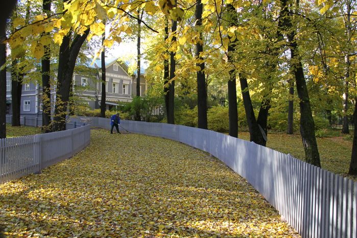 Осень в Подмосковье