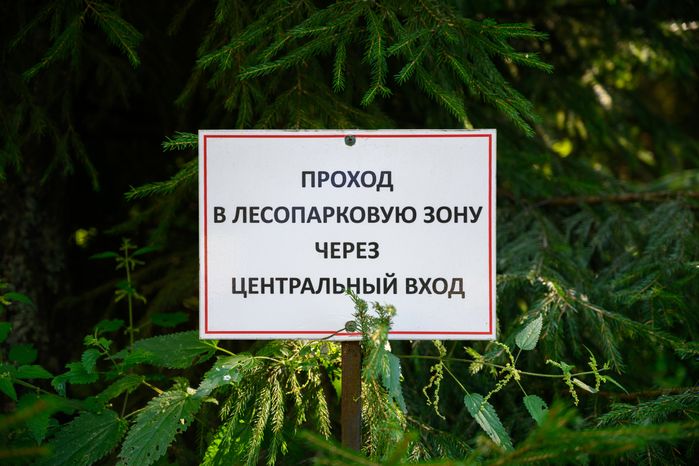 Глэмпинг "Под небом" в Пушкинском городском округе