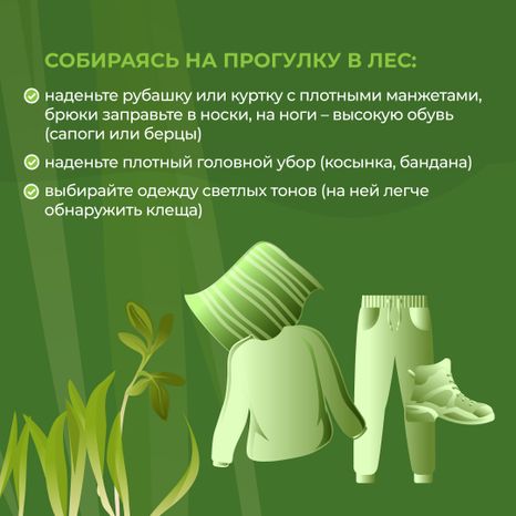 комлесхоз_клещи_кв_4