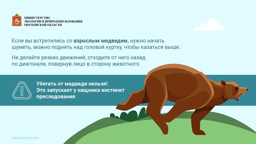 Медведь – сосед, которого нужно знать_горизонталь 09