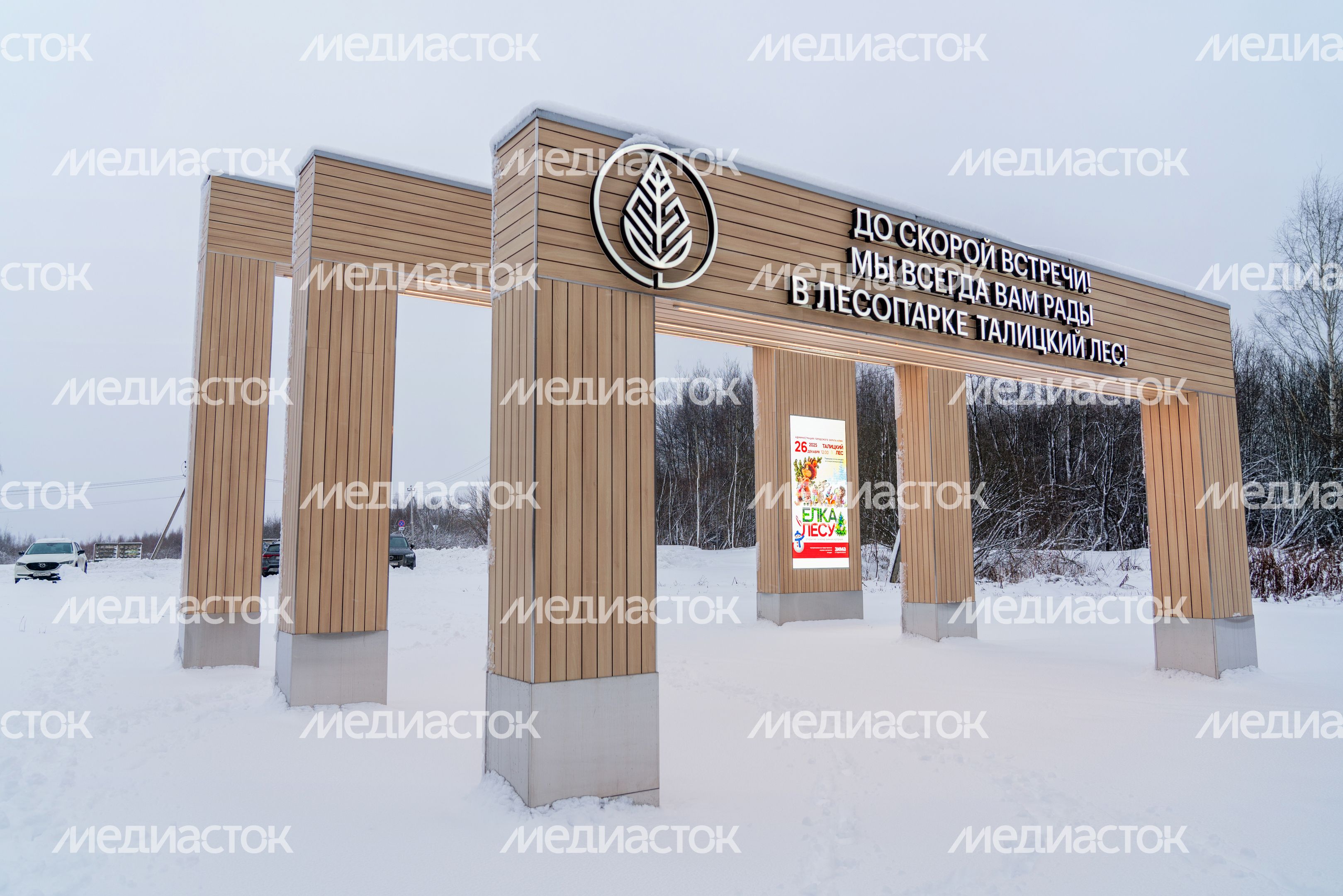 Лесопарк «Талицкий лес» зимой в Клину Лесопарк «Талицкий лес» зимой в Клину