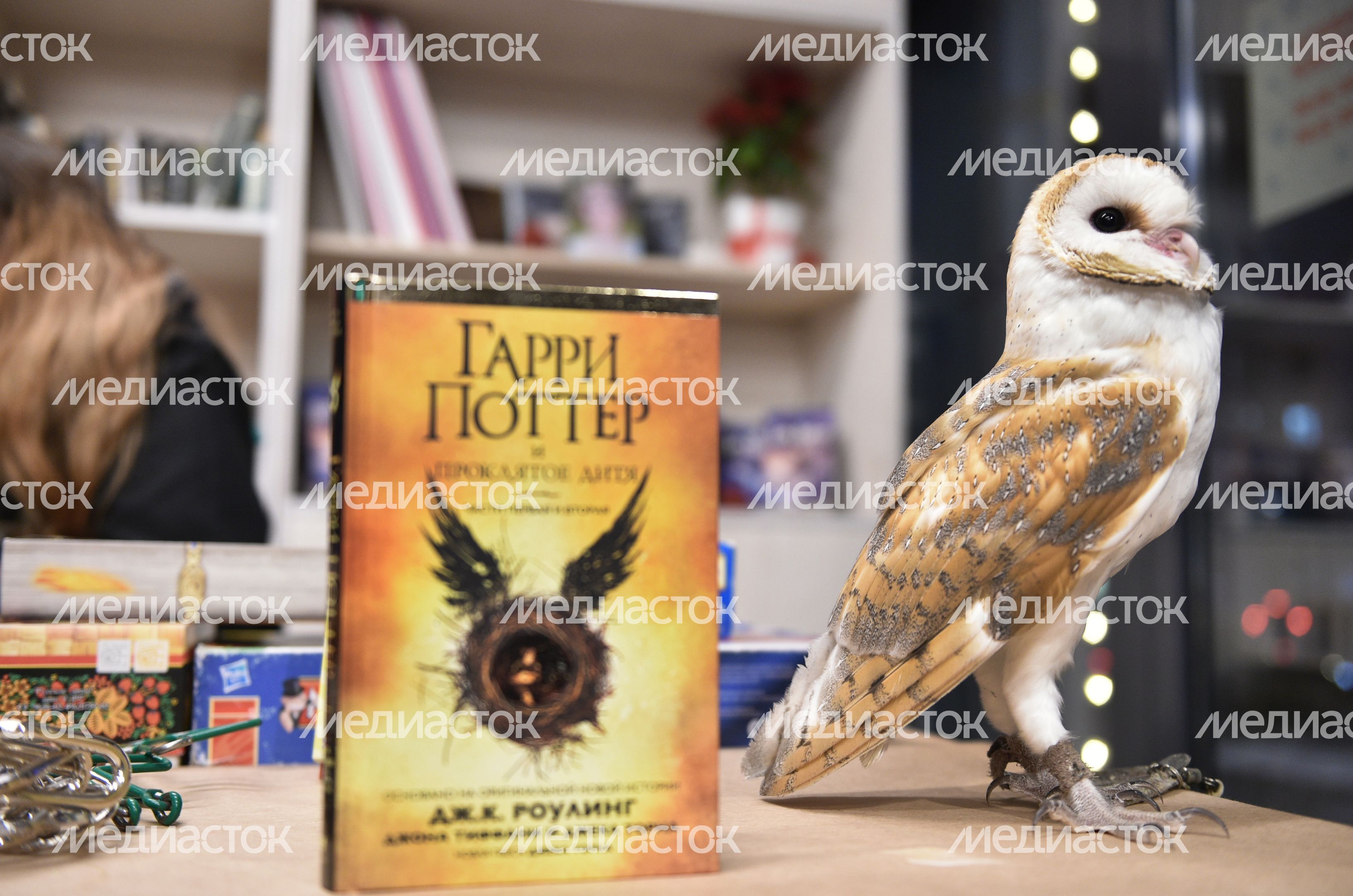 Выход новой книги "Гарри Поттер и проклятое дитя"