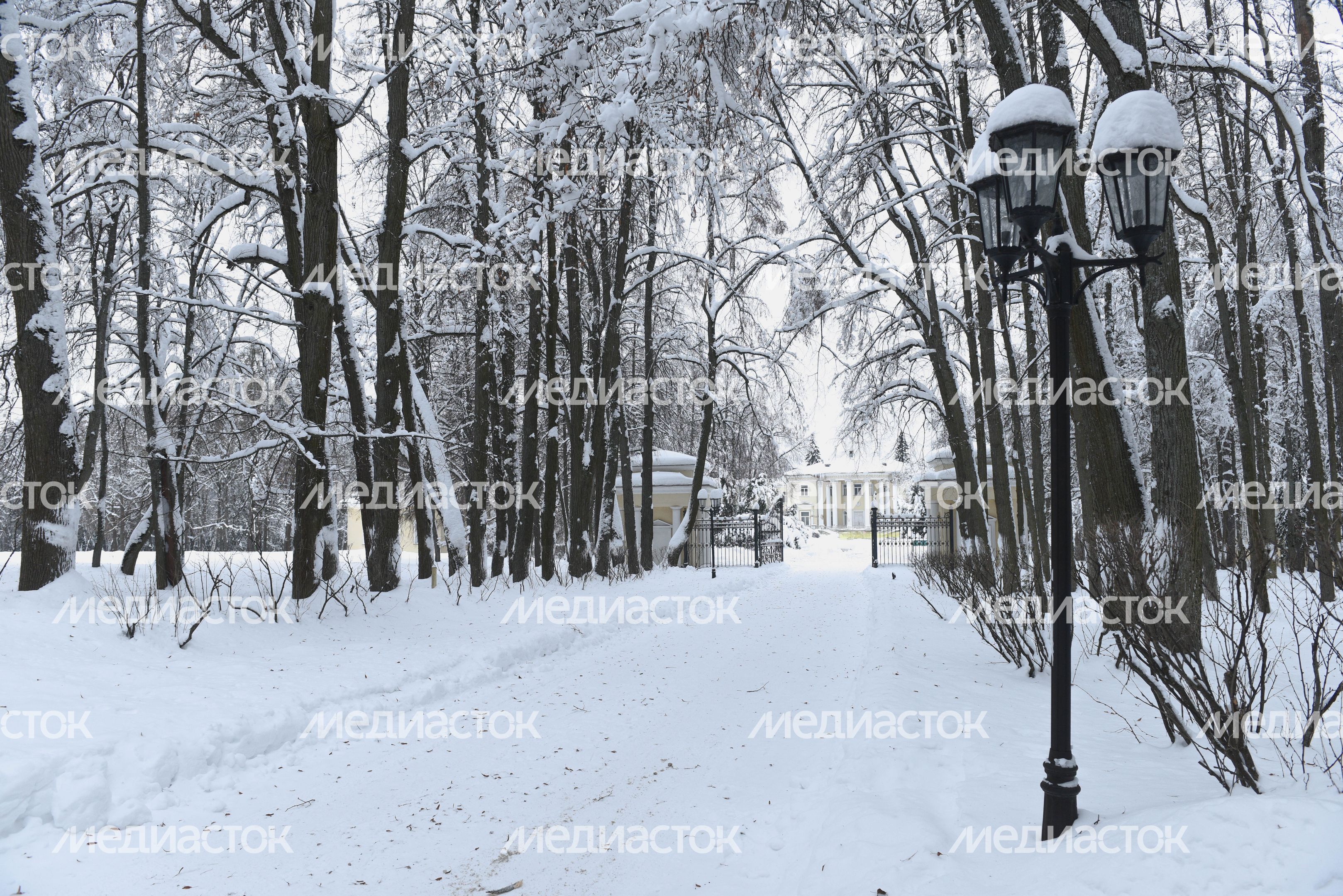 Усадьба Введенское в Звенигороде