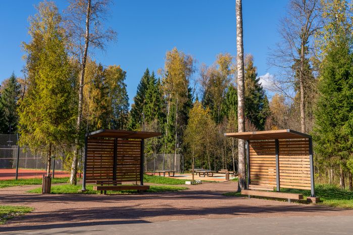 Лесопарк «Соколиная гора» осенью в Истре