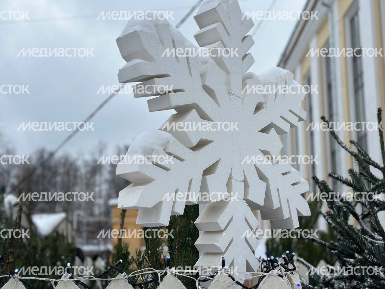 IMAGE 2023-12-15 14:54:05
