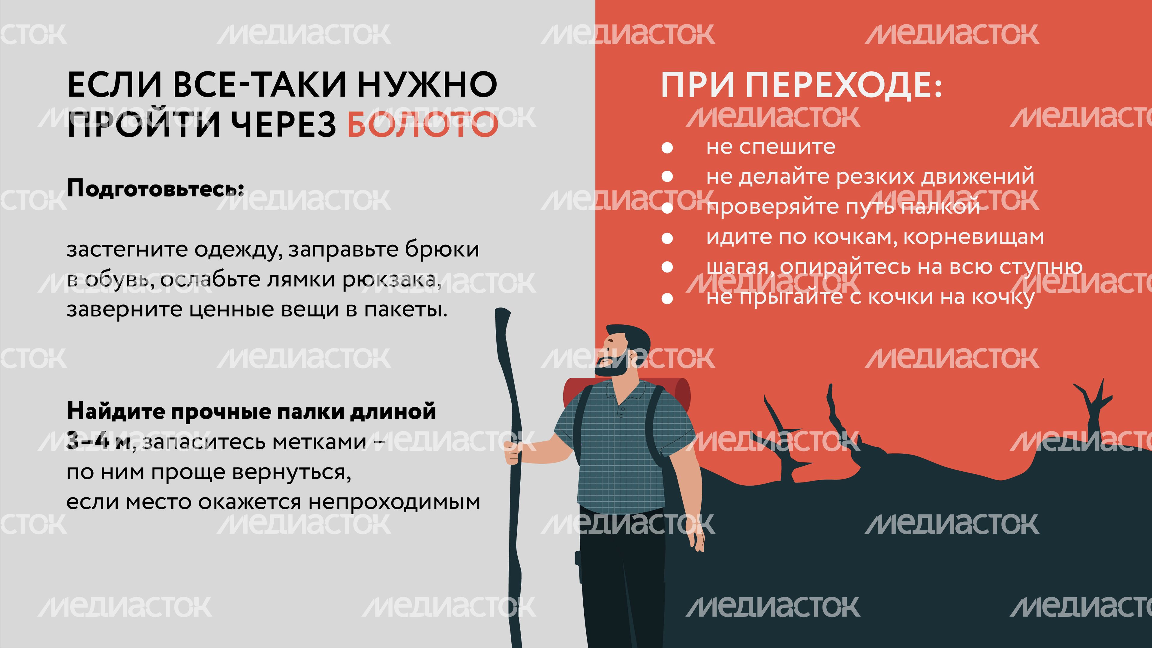 Болото-Горизонталь-05.jpg
