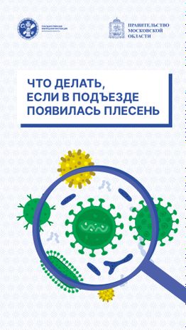 Вертикаль Плесень 01.jpg