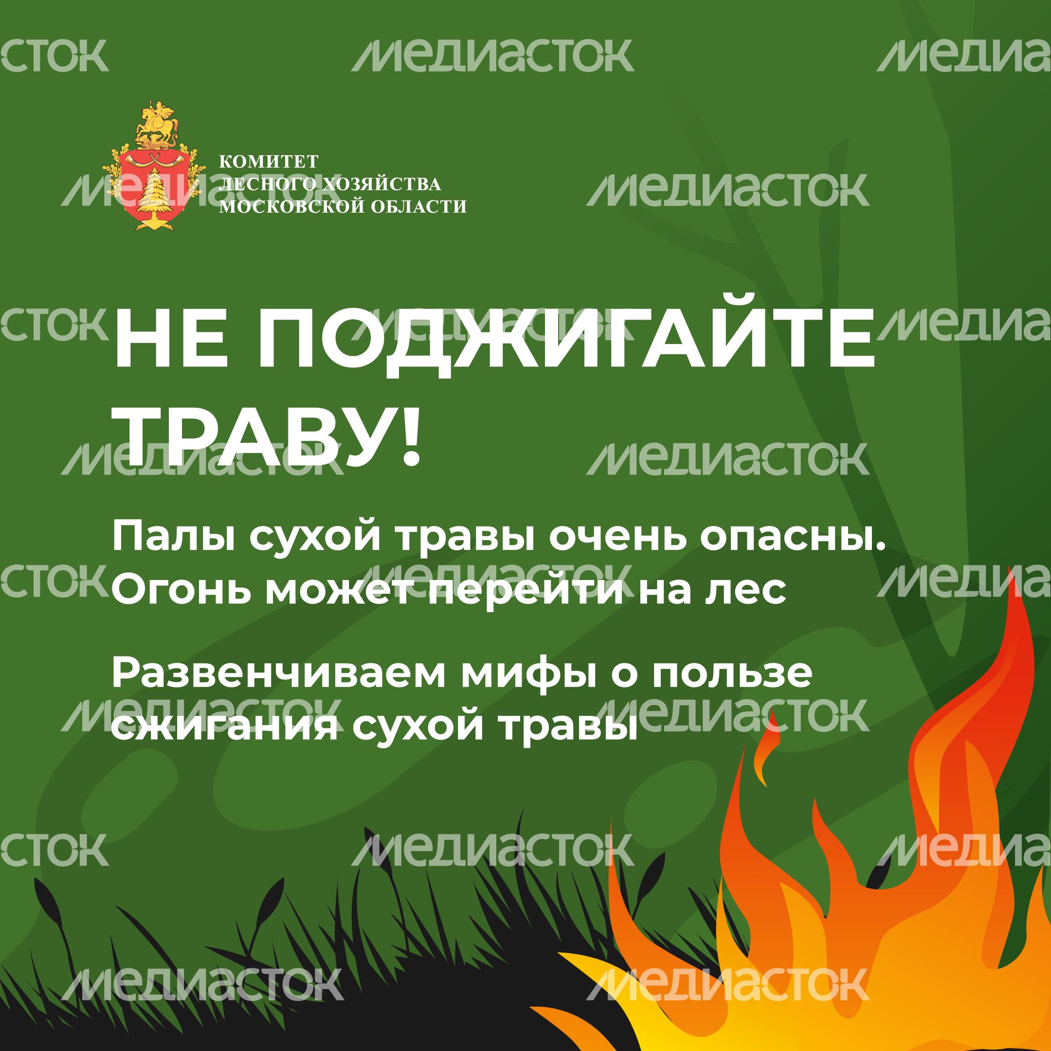 комлесхоз_пал_кв_1.jpg