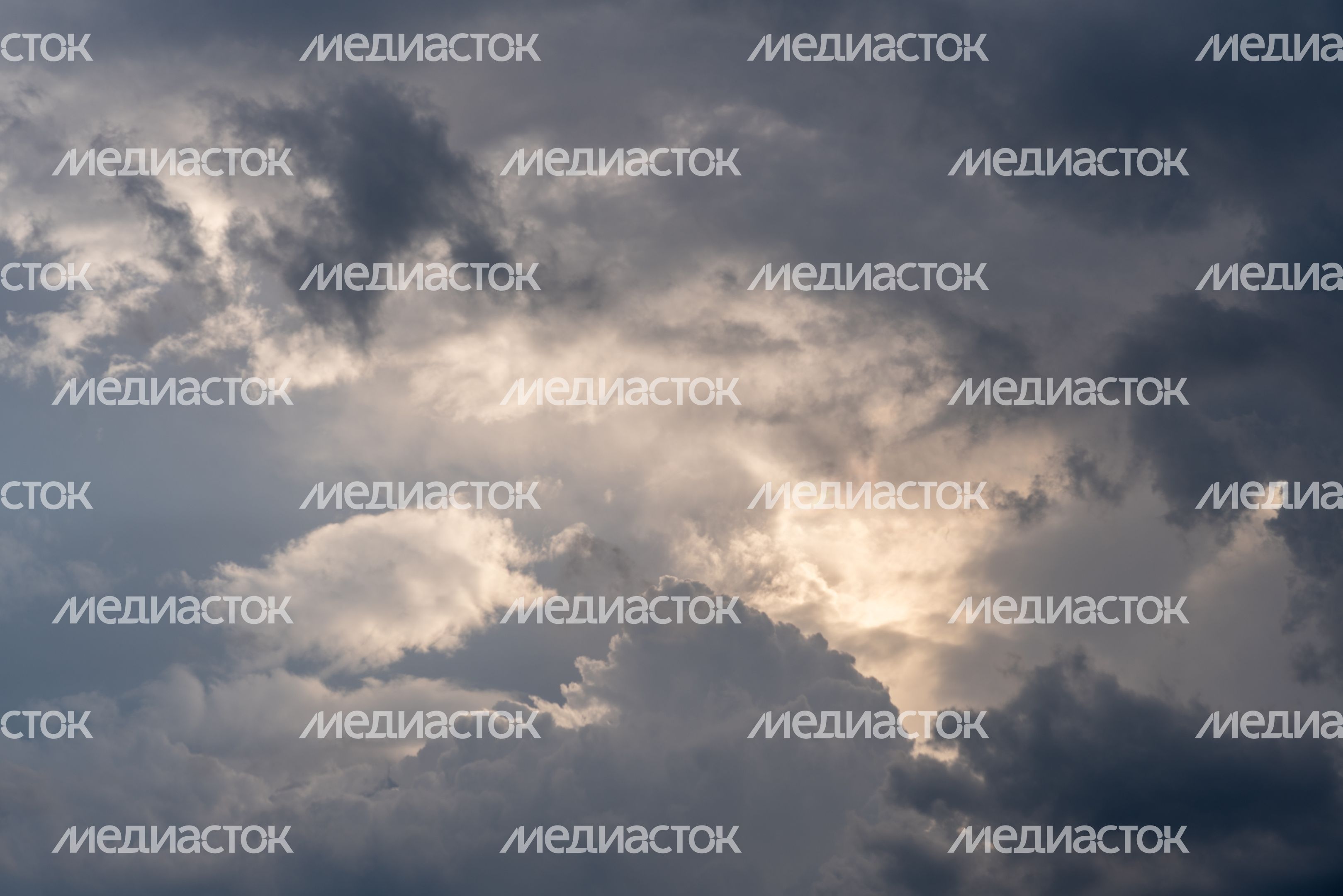 Хаски-деревня "Рузская Аляска". Лето
