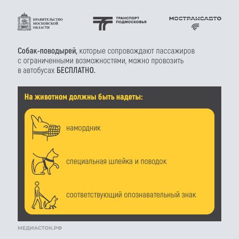 Правила перевозки животных квадрат 03