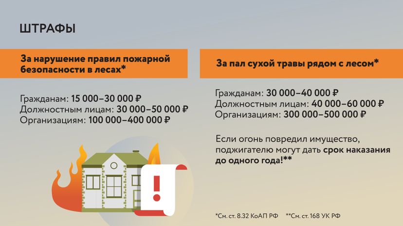 Пал травы