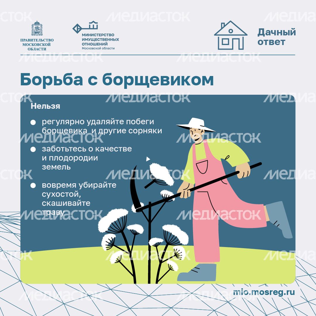 Дачный сезон штрафы-квадрат-05