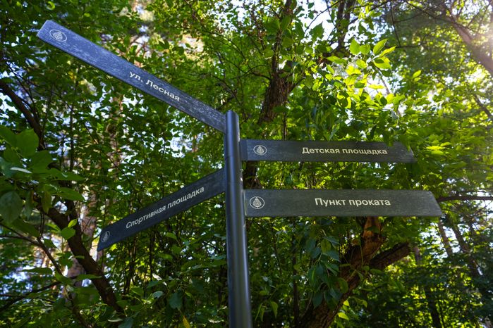 Лесопарк "Чемпион" в Дзержинском