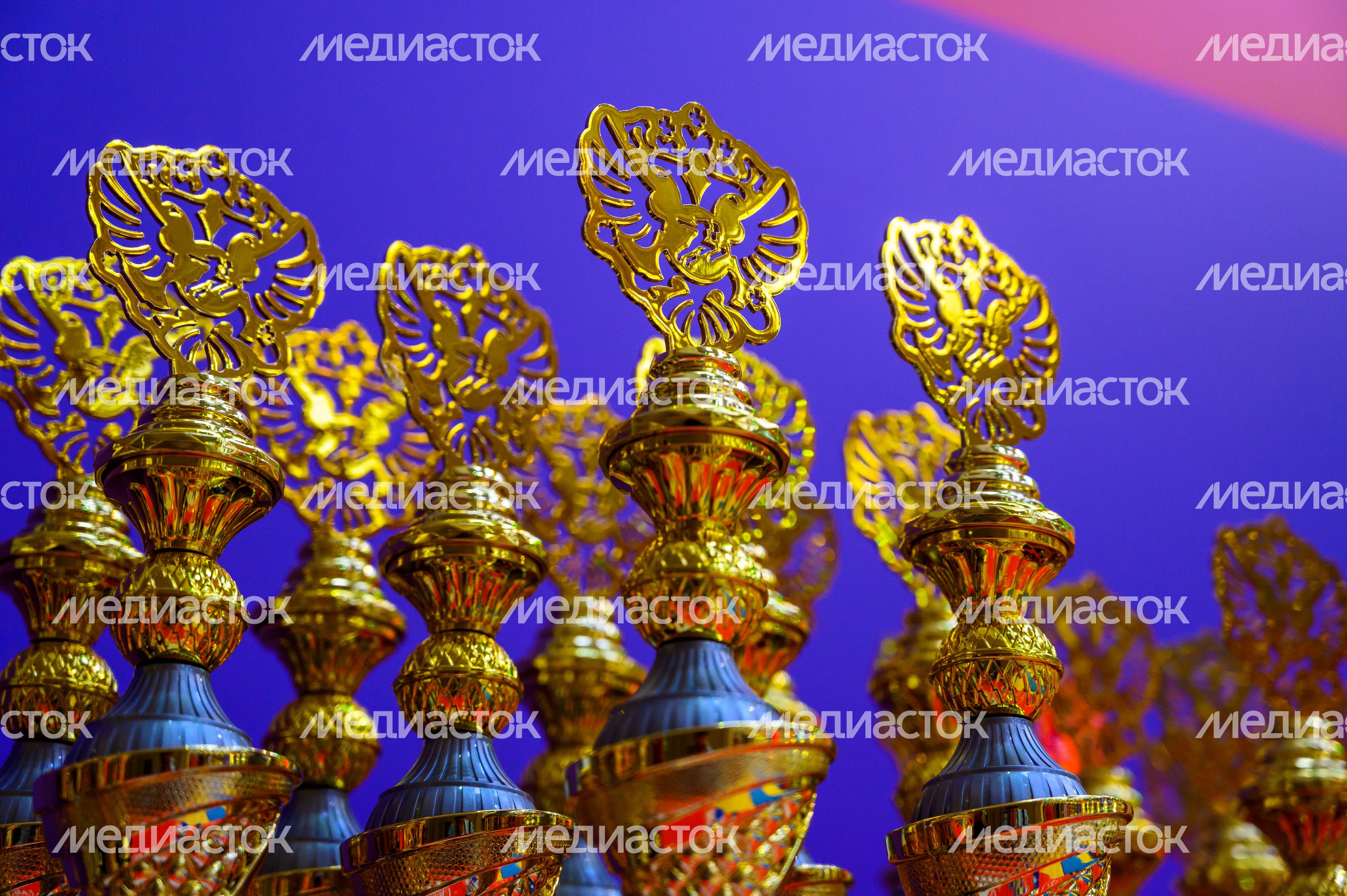 Торжественное открытие XIII летней Спартакиады учащихся России в Мытищах Торжественное открытие XIII летней Спартакиады учащихся России в Мытищах