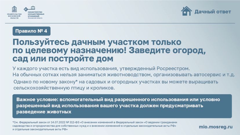 Рубрика дачный ответ