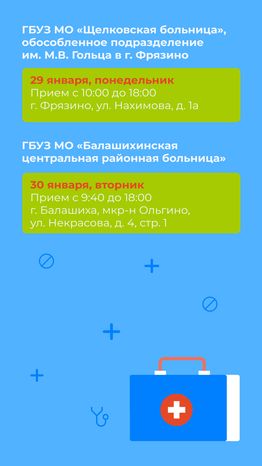 Мобильный комплекс-график на январь-вертикаль-10
