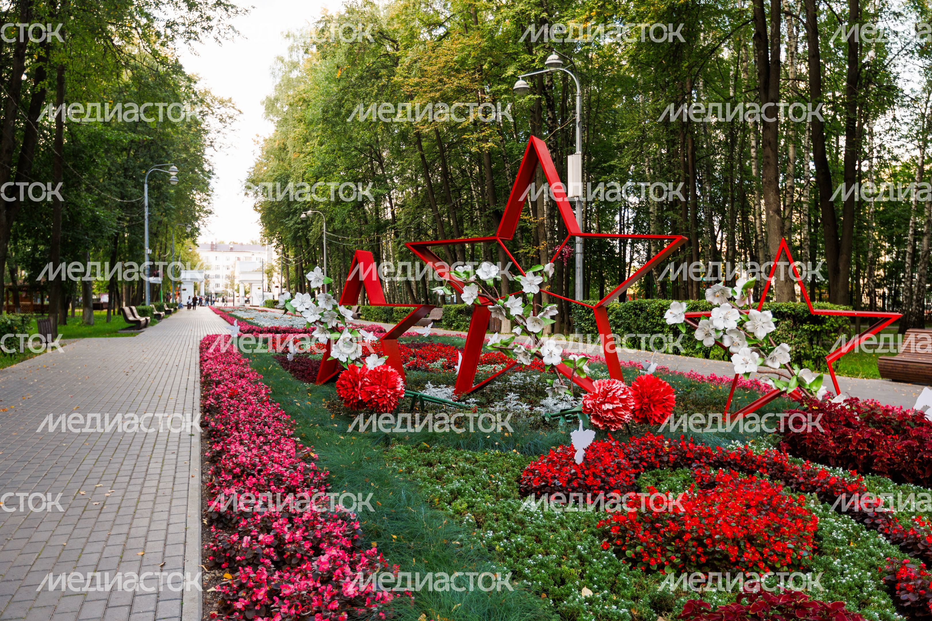 Клумба в Центральном городском парке им. М.И. Калинина в Королеве летом Клумба в Центральном городском парке им. М.И. Калинина в Королеве летом