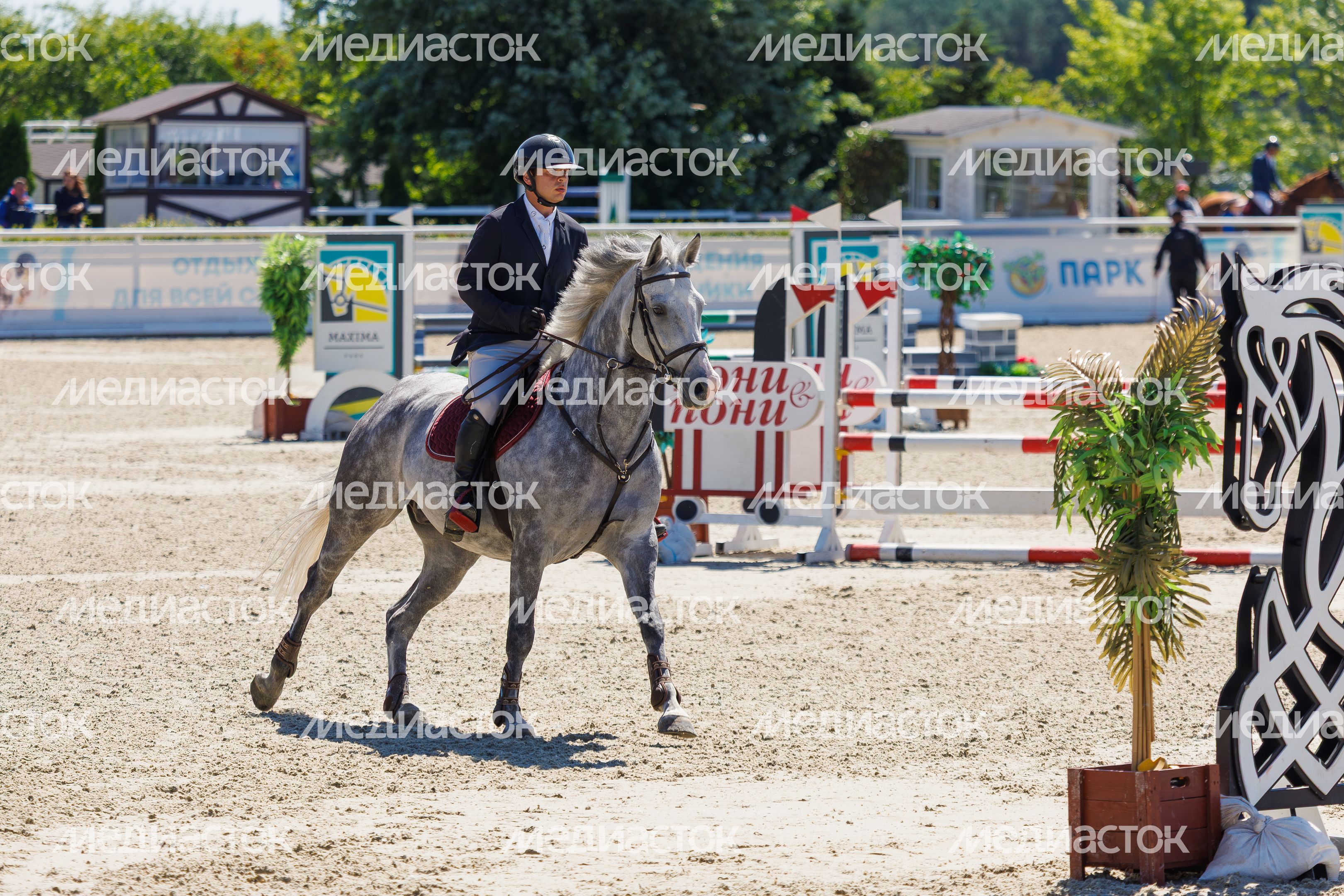 Конноспортивные Евразийские игры по конкуру 2026 в Maxima Park Дмитровского округа Конноспортивные Евразийские игры по конкуру 2026 в Maxima Park Дмитровского округа
