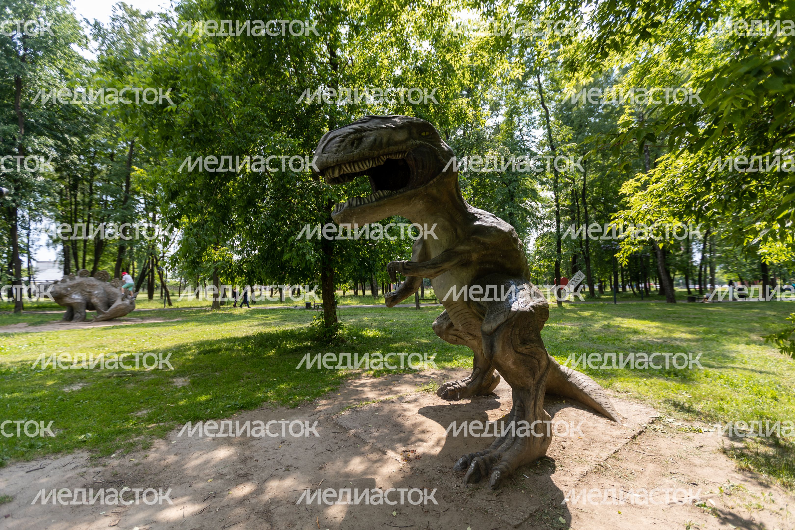 Серпухов. Комсомольский парк Серпухов. Комсомольский парк