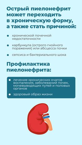 болезни почек-вертикаль-04