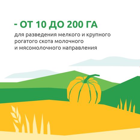  Подмосковные 10 гектаров
