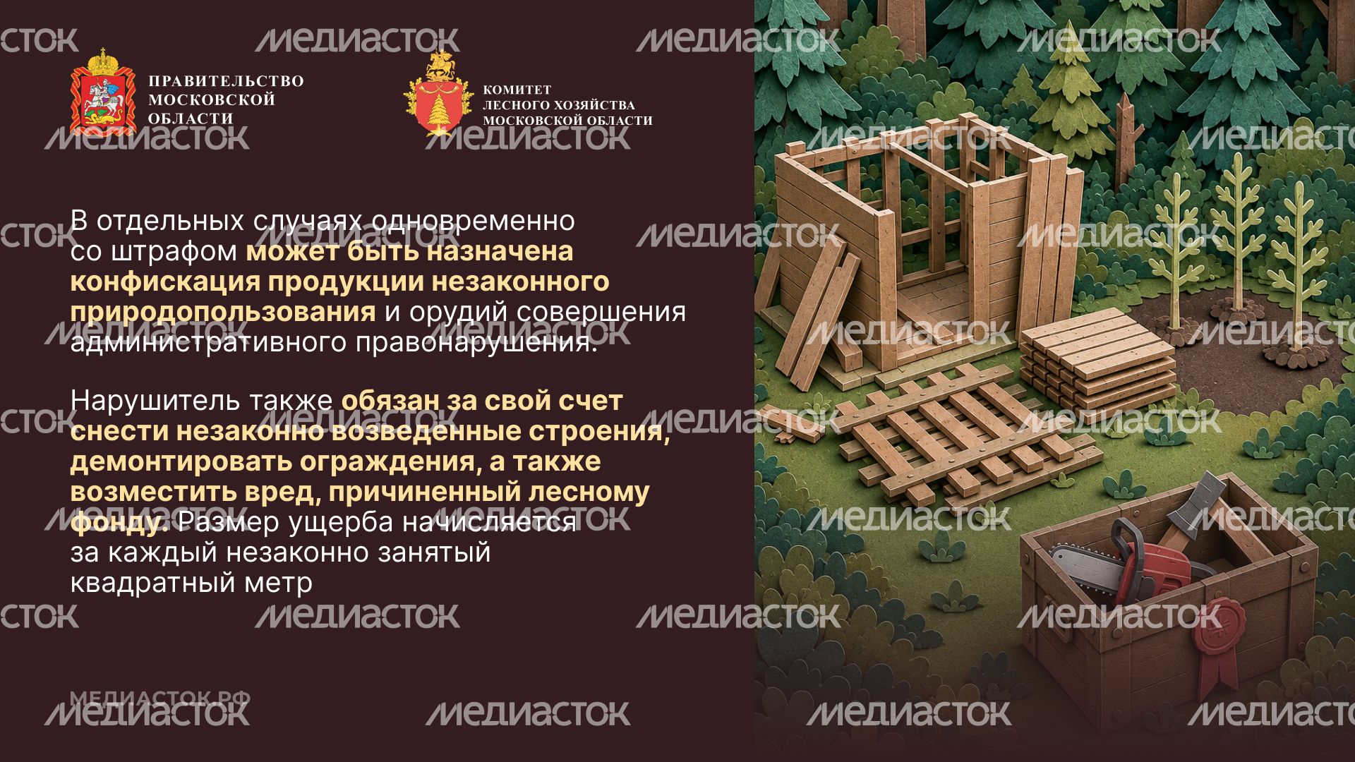 Самовольный захват и использование лесных участков горизонталь 05