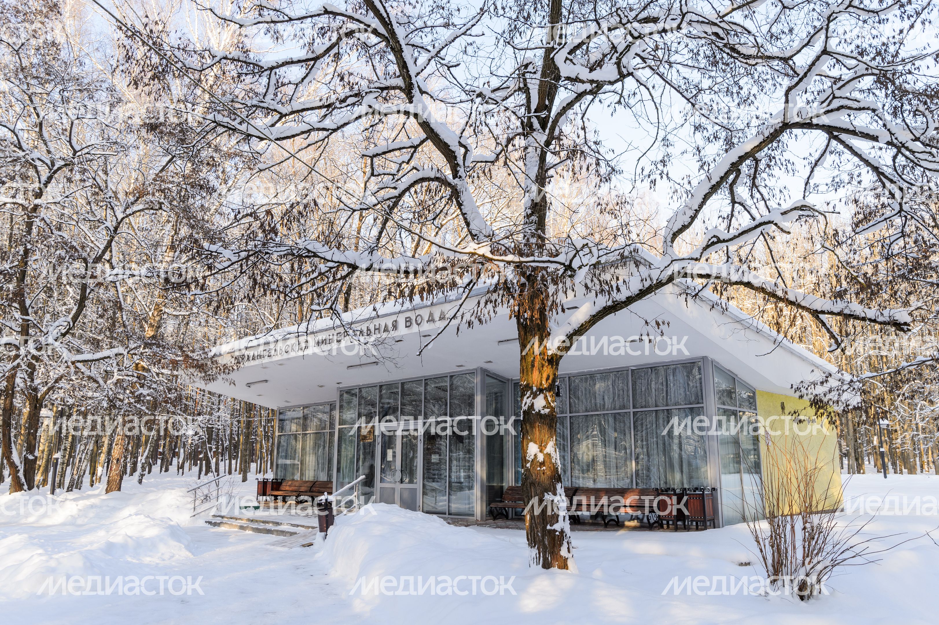 Красногорск. Усадьба «Архангельское». Зима Красногорск. Усадьба «Архангельское». Зима