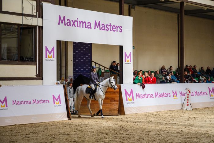 Конноспортивное шоу в Maxima Park в Дмитровском округе