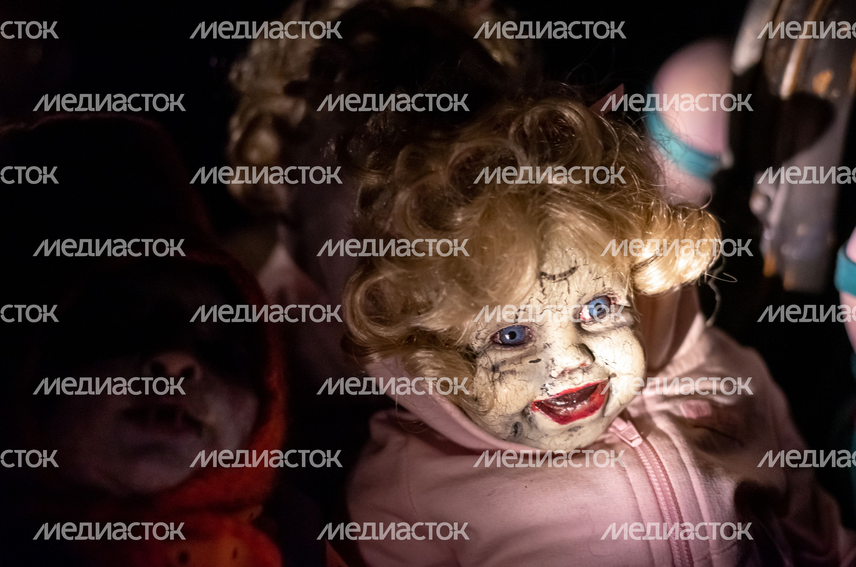 Виды музея Мёртвых Кукол