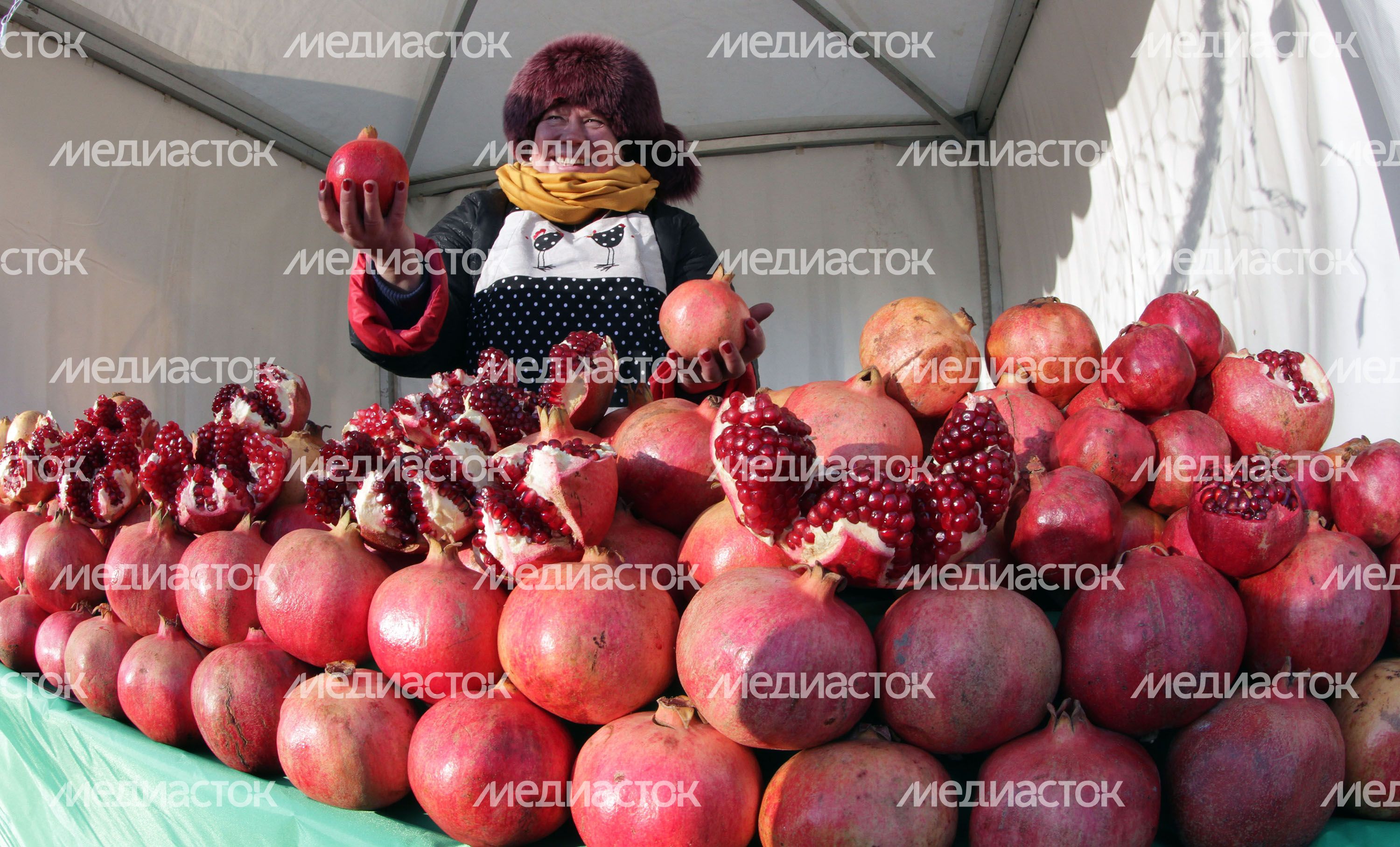 Продуктовая ярмарка «Ценопад» в Мытищах Продуктовая ярмарка «Ценопад» в Мытищах