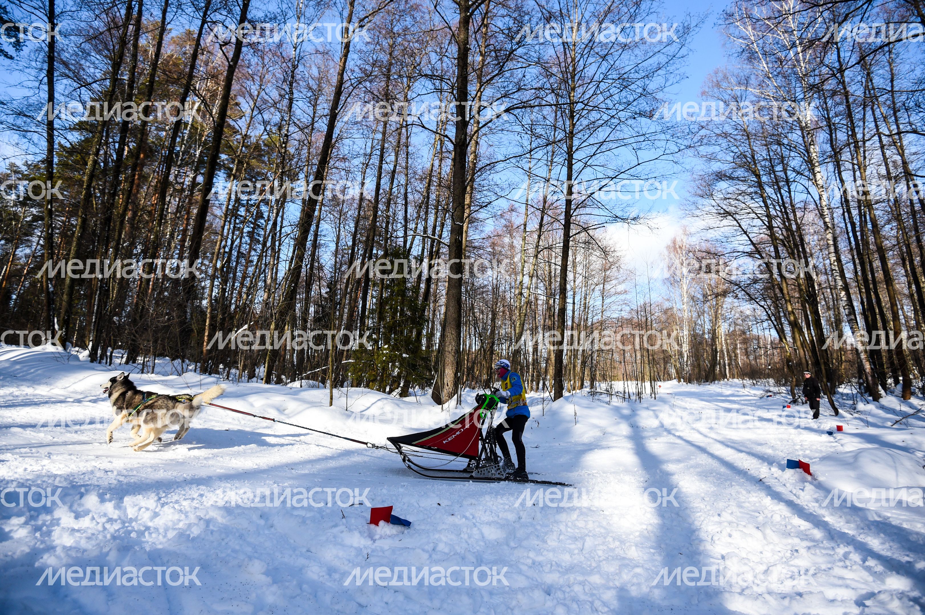 Гонки на собачьих упряжках Зов предков