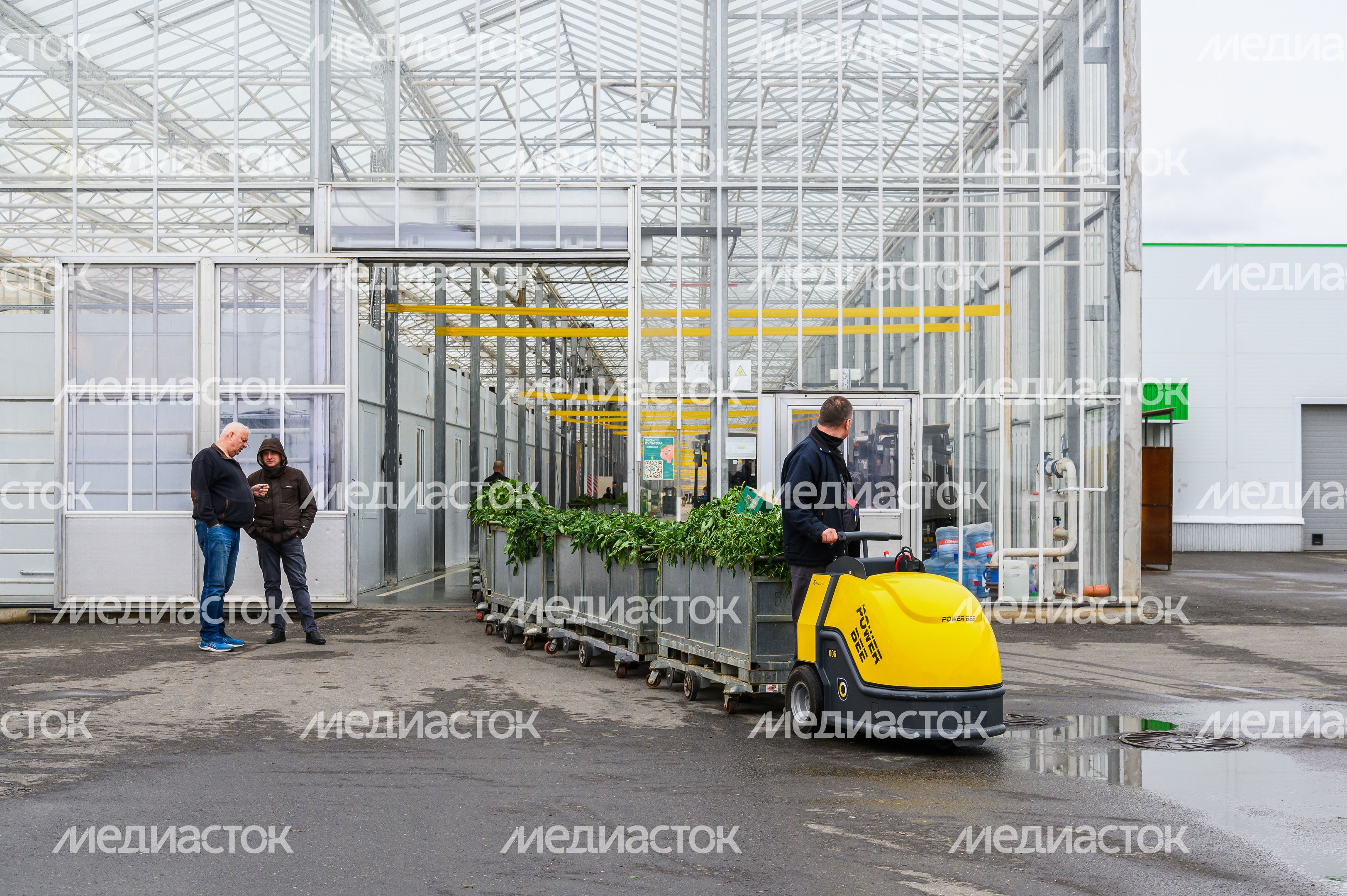 Тепличный комплекс «Подмосковье» в городском округе Воскресенск Тепличный комплекс «Подмосковье» в городском округе Воскресенск