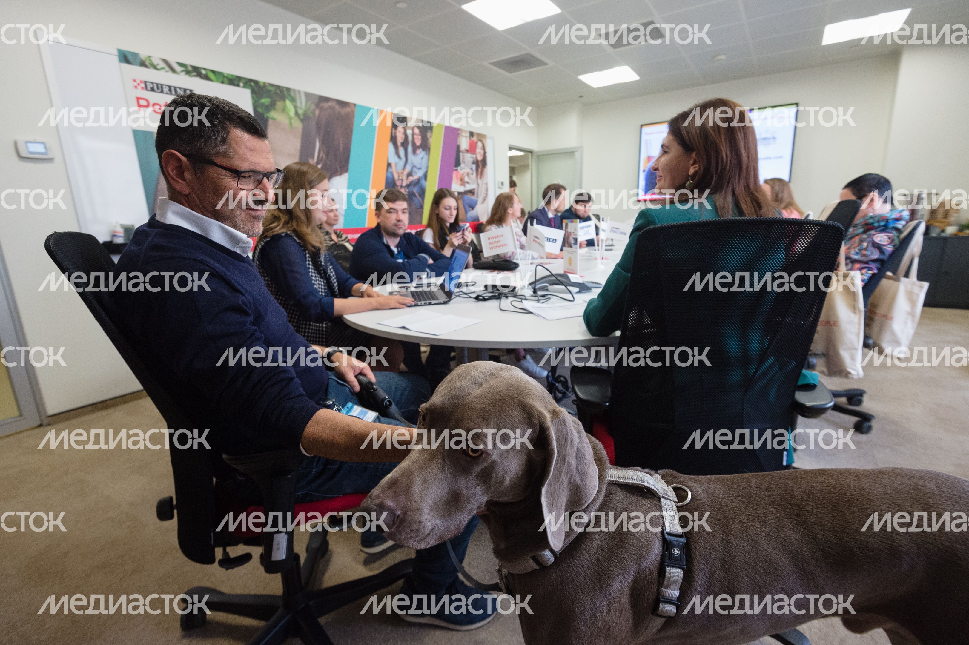 Pet‑friendly офис Purina