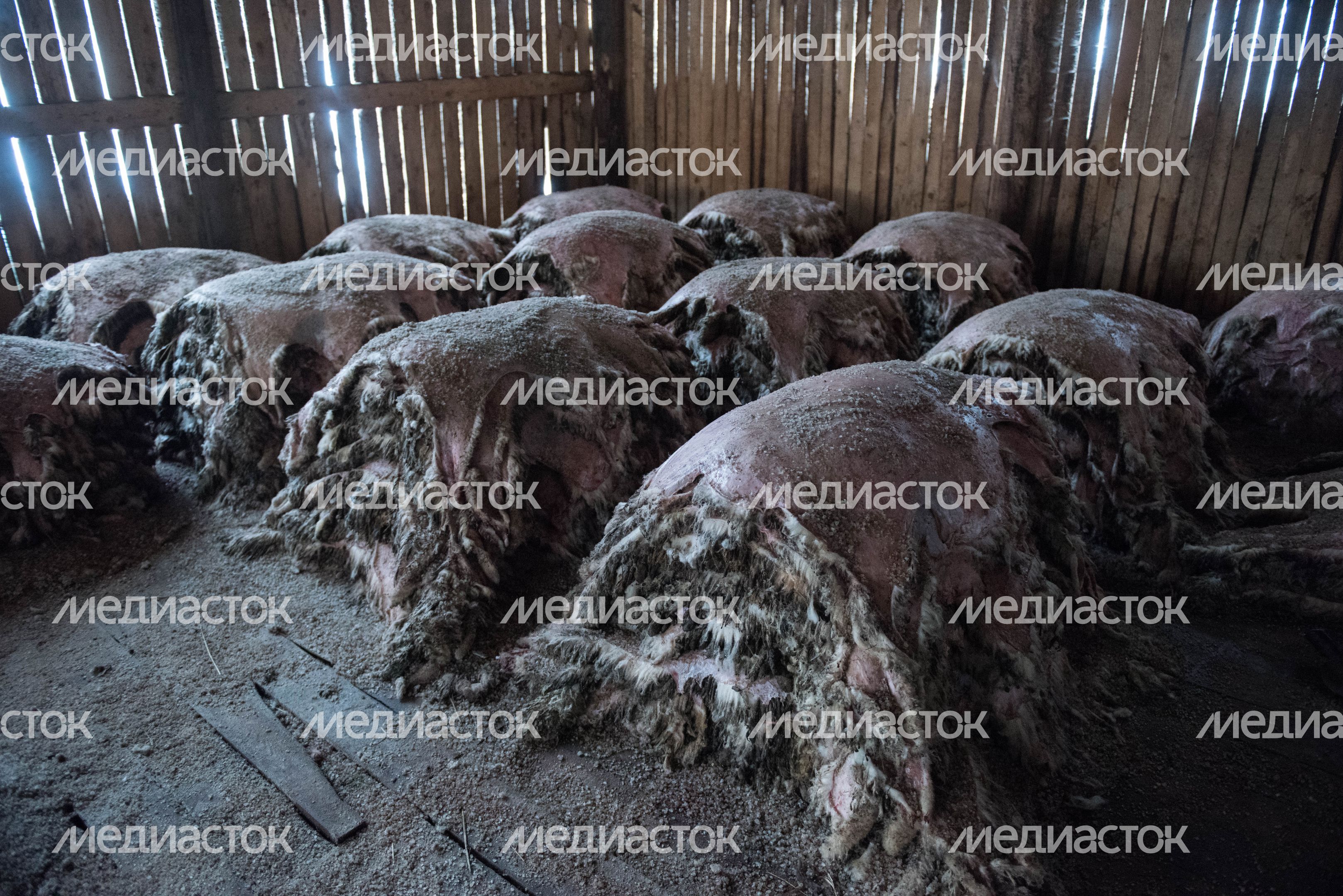 Деревня «Марс» в Московской области, 2 часть