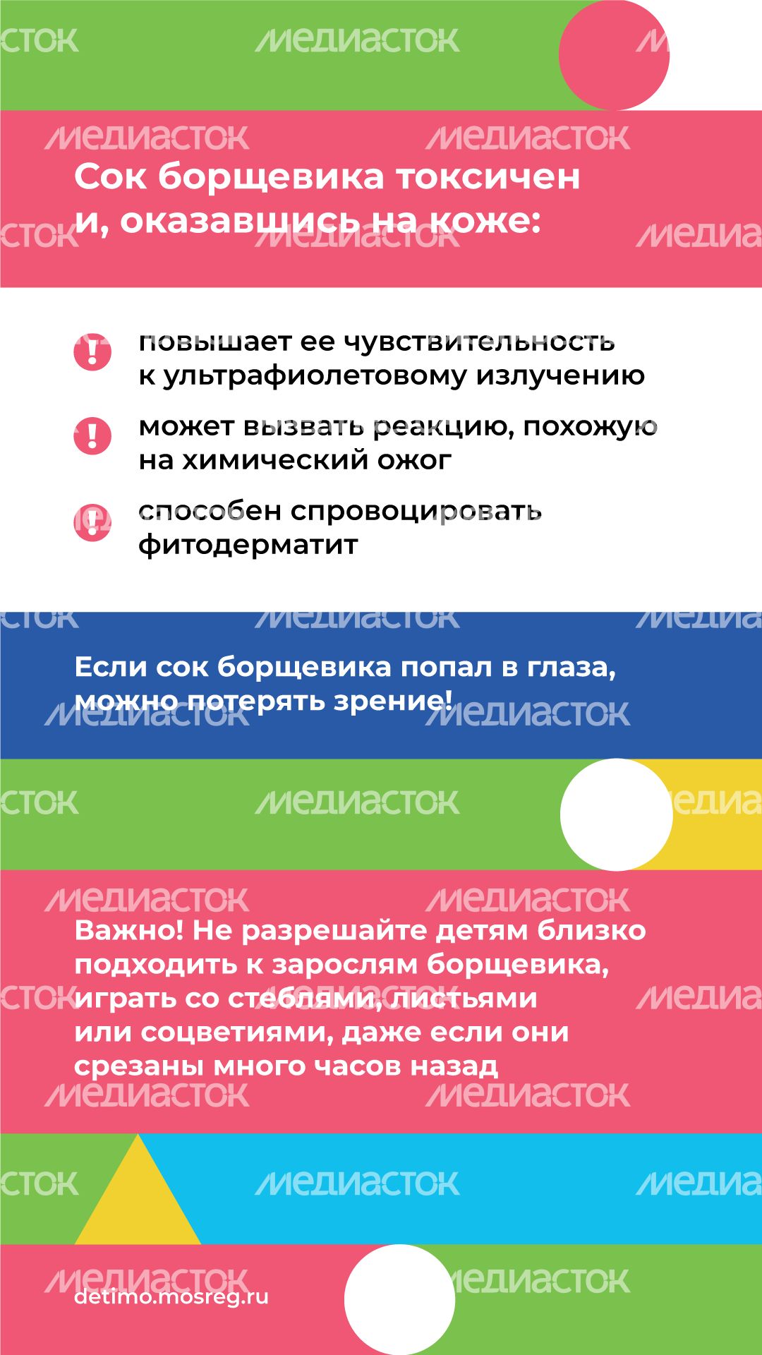 Вертикаль_Борщевик Сосновского_03.png