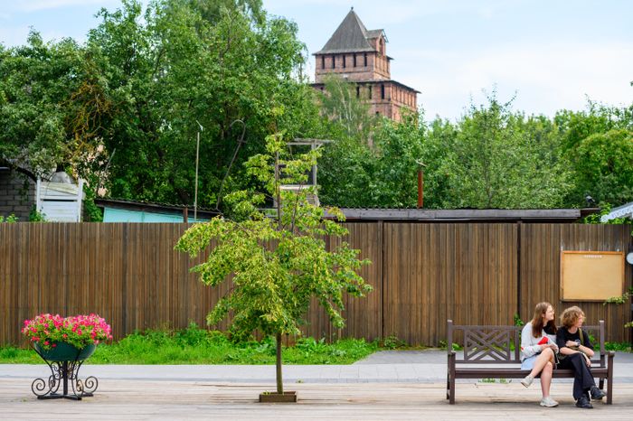 Вид на Коломенский кремль с Москворецкой набережной