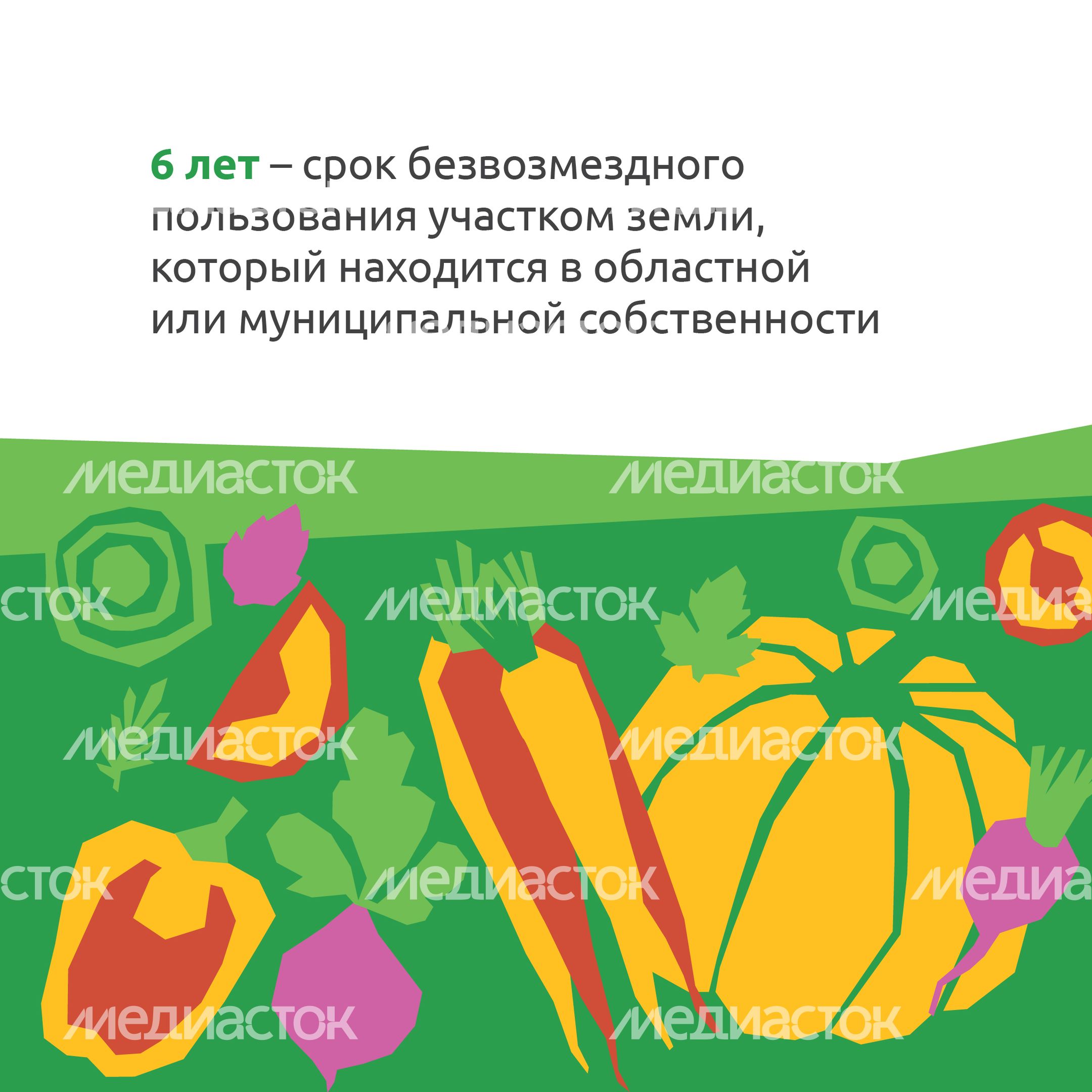 _Подмосковье 10г_-20.jpg