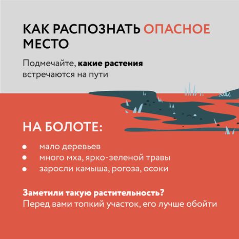 Болото-Квадрат-05.jpg
