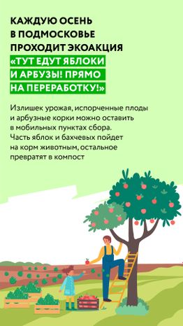 Вертикаль_арбузы_02-100.jpg