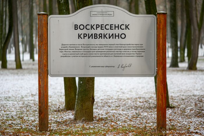 Зима в парке усадьбы Кривякино в Воскресенске
