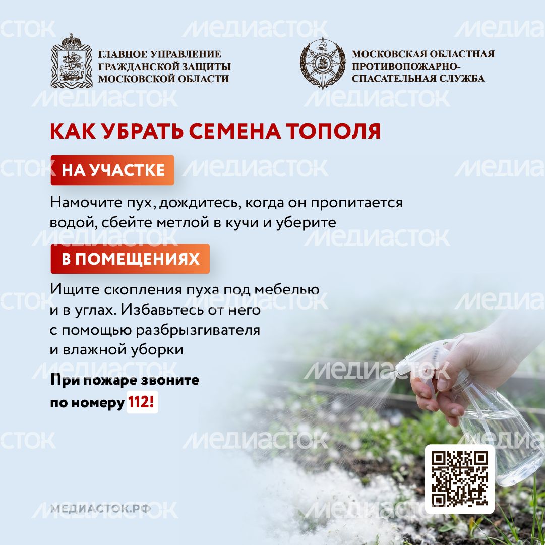 Огнеопасно тополиный пух квадрат 03 Огнеопасно тополиный пух квадрат 03