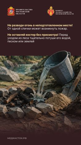Пребывание граждан в лесах Вертикаль 03