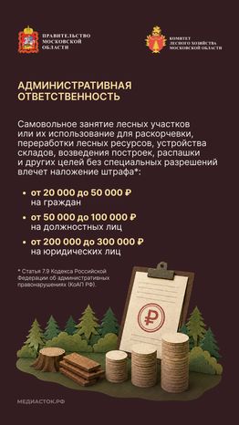 Самовольный захват и использование лесных участков вертикаль 04