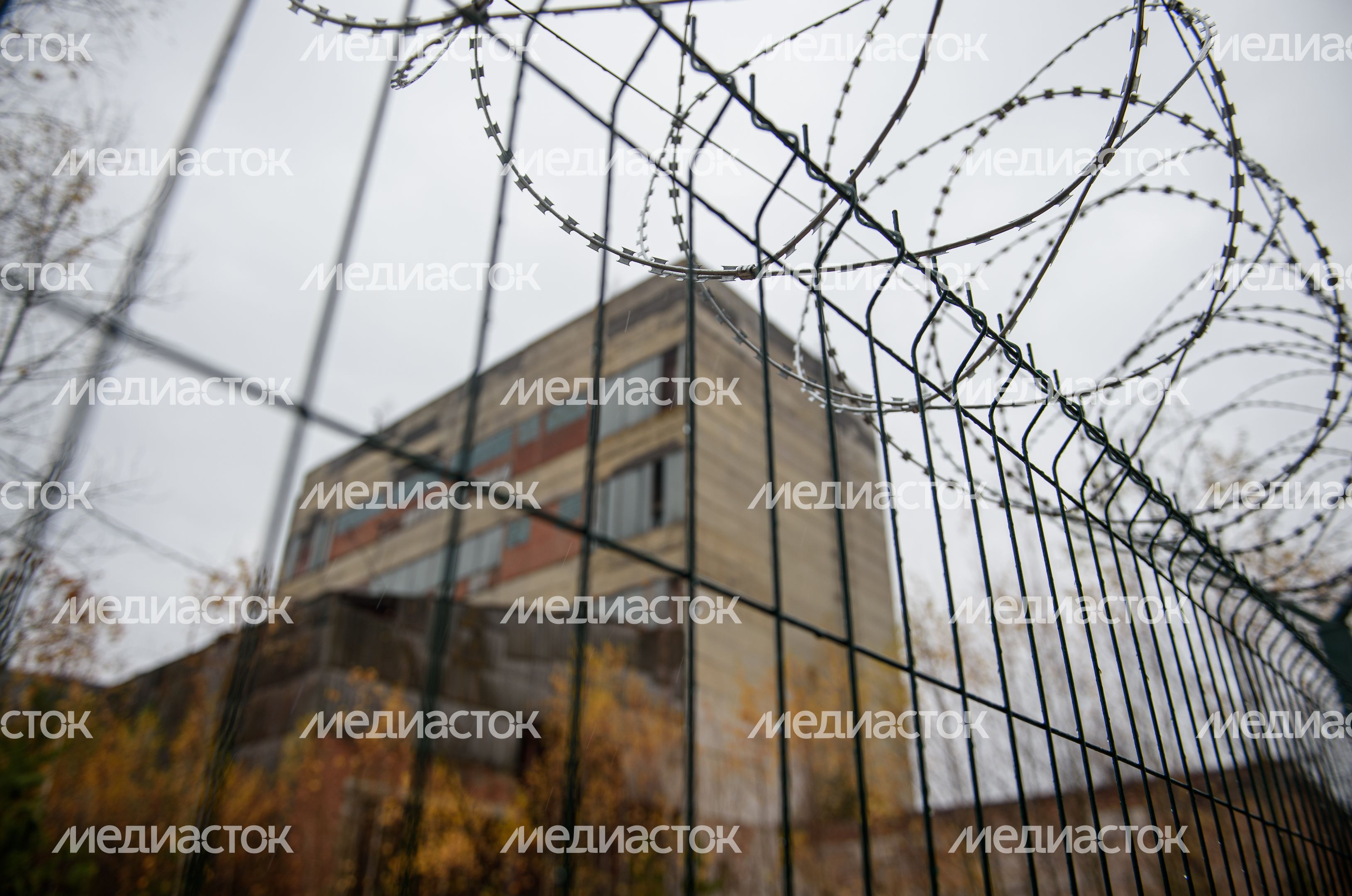 Осенние виды заброшенного завода «Кормофос»