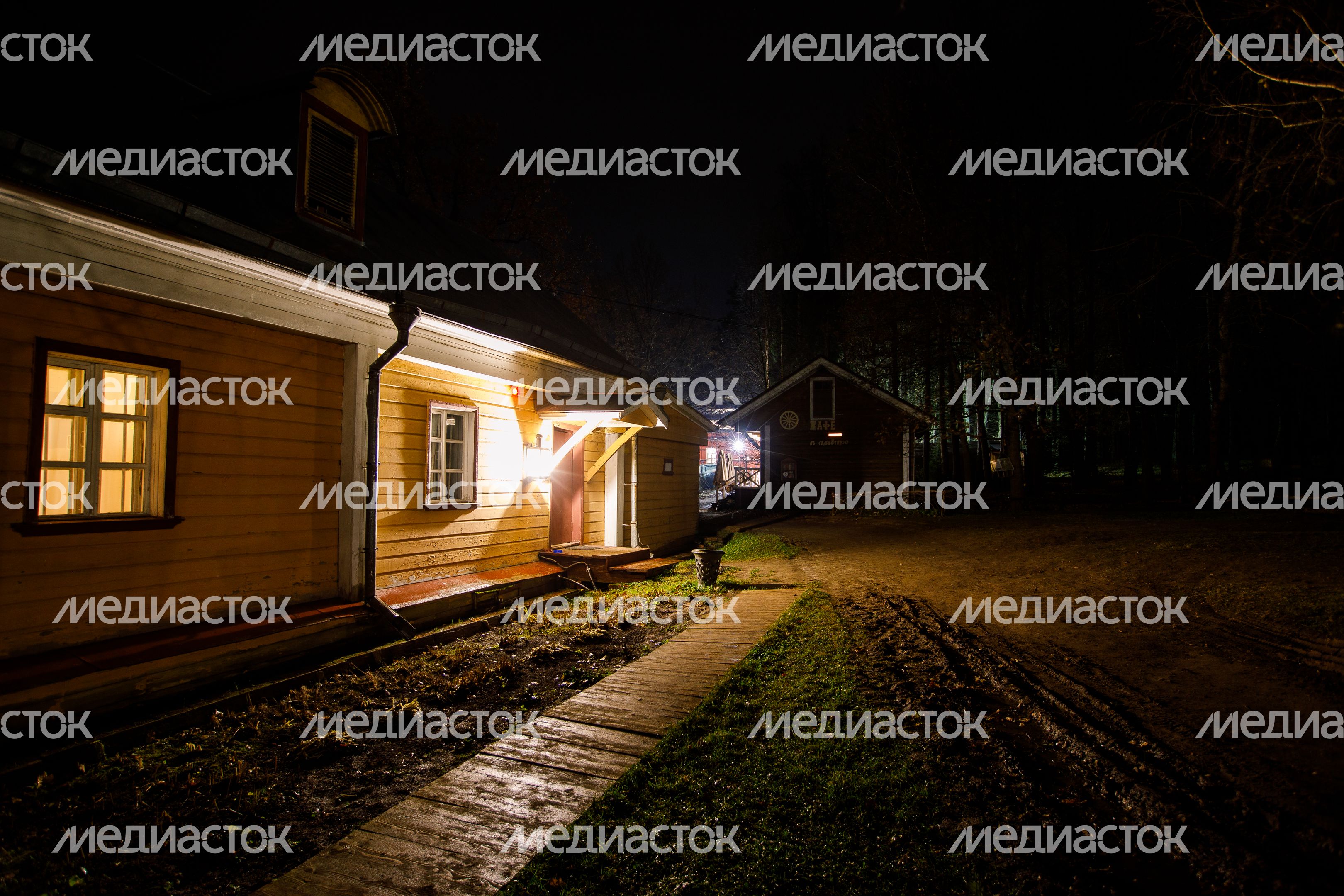 Пушкино. Усадьба Мураново. Ночь искусств