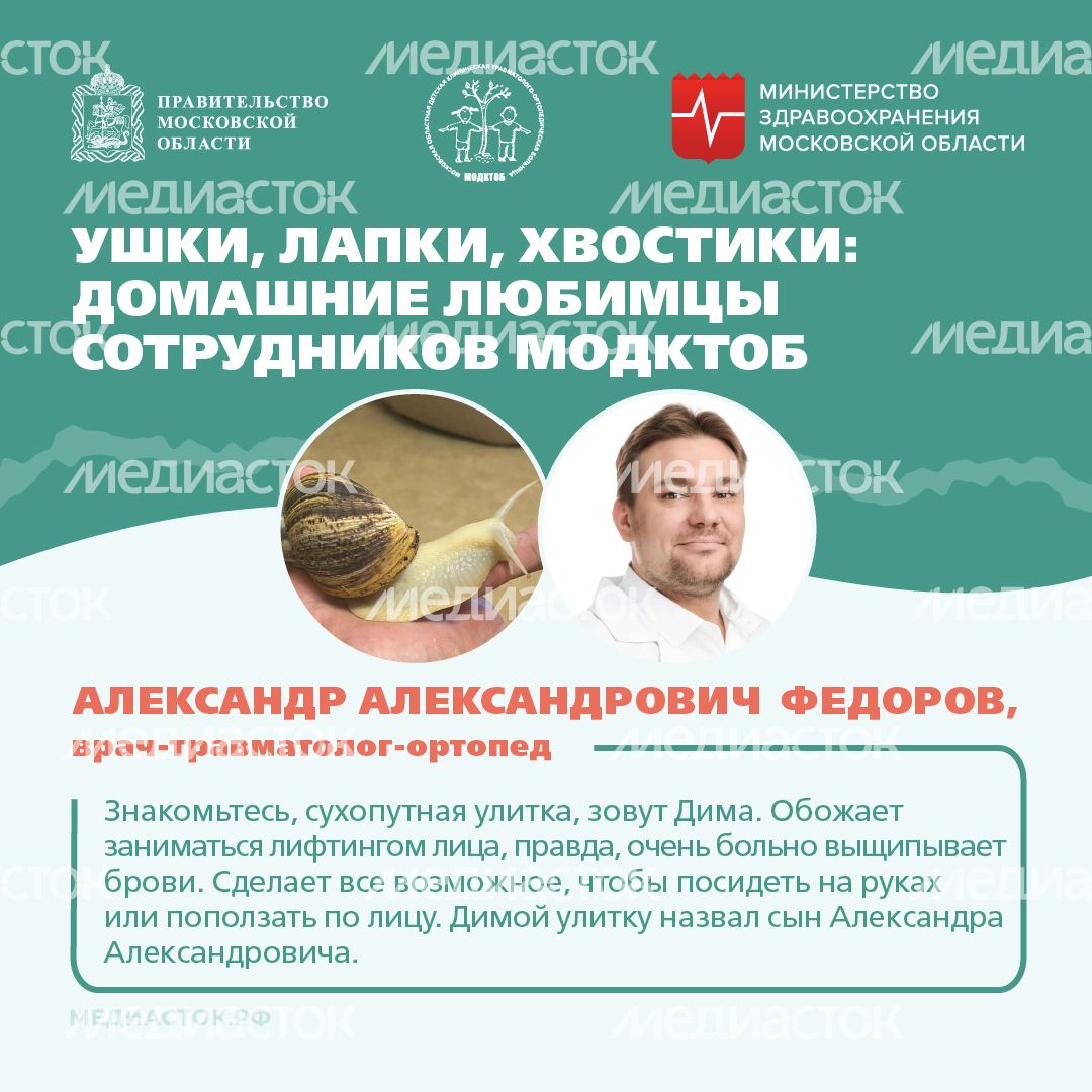 Ушки, лапки, хвостики квадрат 04 Ушки, лапки, хвостики квадрат 04